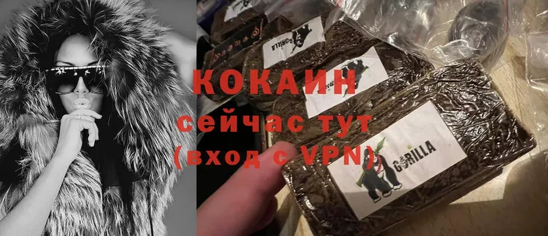 Cocaine FishScale  цены наркотик  Майкоп 