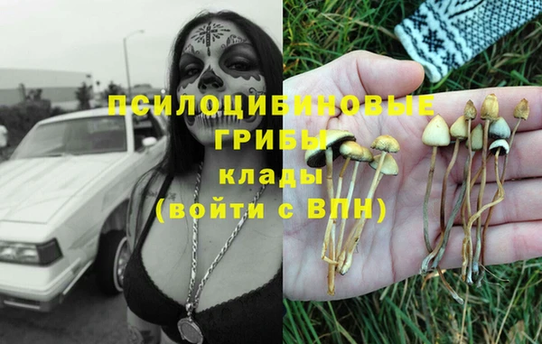 MDMA Premium VHQ Братск