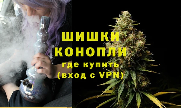 стаф Тында