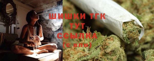 твердый Таштагол