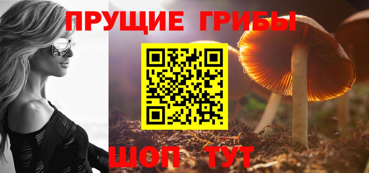 Псилоцибиновые грибы MAGIC MUSHROOMS Майкоп