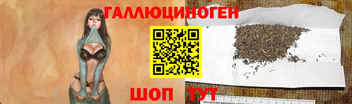 Псилоцибиновые грибы ЛСД  Псилоцибиновые грибы ЛСД  Вход с VPN  Майкоп 