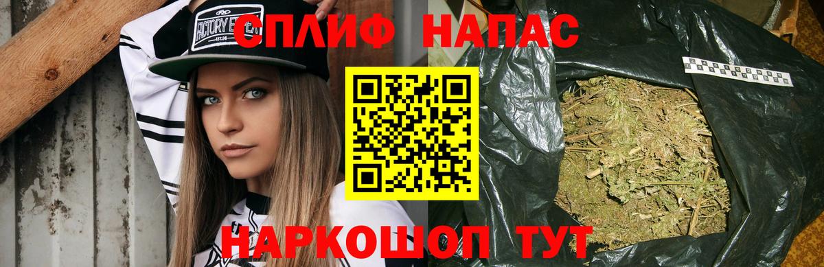 Каннабис план Майкоп